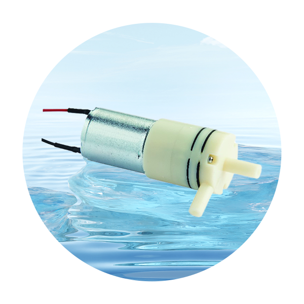 Micro aqua sentinam